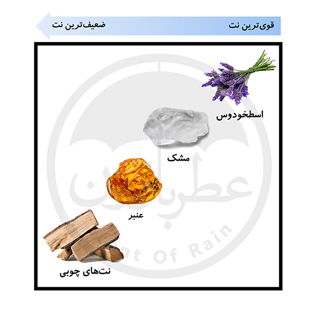 فروش ویژه ادوتویلت مردانه یو دی وی مدل Blue حجم 100 میلی لیتر